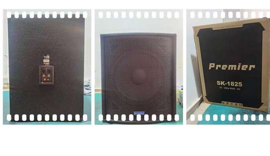 Premier 18" Bass speaker. image 1