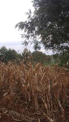 40X80ft PLOTS FOR SALE AT KABATI ZABKA IN MURANGA COUNTY image 13