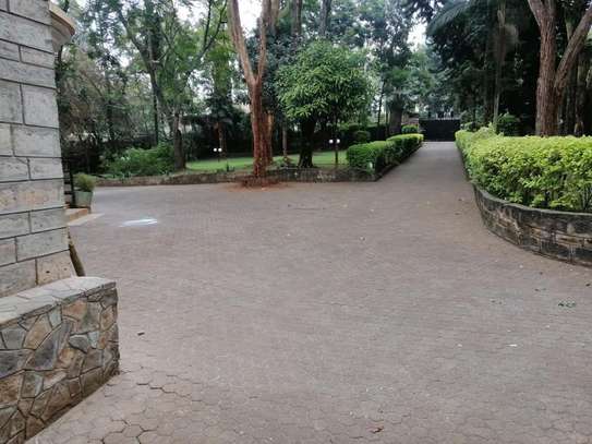 Commercial Property in Gigiri image 7