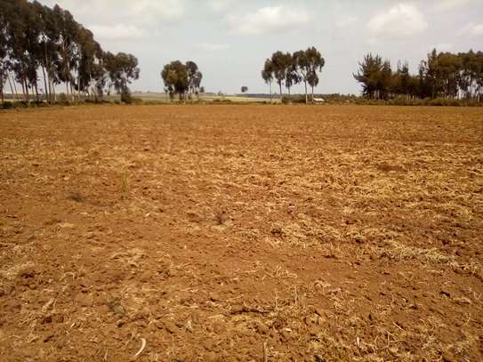 41 Acres of Land For Sale in Timau image 4