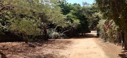 1 Acre Piece Of Land In Casuarina Road Malindi For Sale image 6