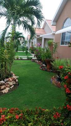 gardening and landscaping Services image 1