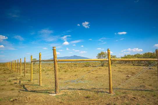 0.5 Acre land For Sale in Naivasha,Kedong ranch image 3