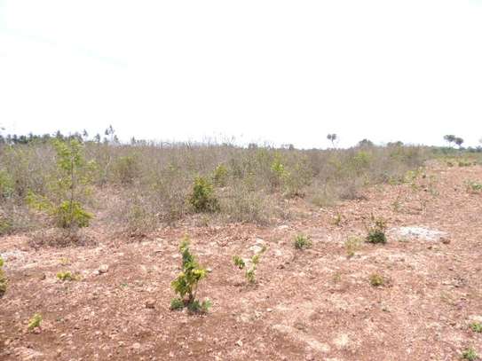 0.25 ac Residential Land at Diani Beach Road image 9