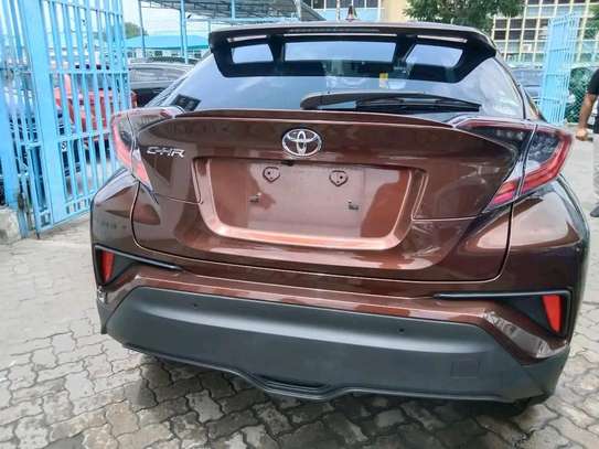 Toyota CH-R brown 🟤 image 10