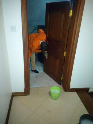 WE OFFER HOUSE DEEP CLEANING SERVICES,HOUSE KEEPING SERVICES, LAUNDRY WASHING & IRONING SERVICES IN NYAYO ESTATE. image 3