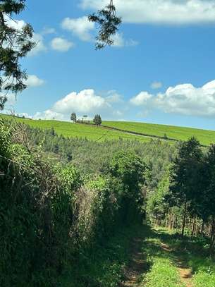 25 ac Land at Riara Ridge Road image 2