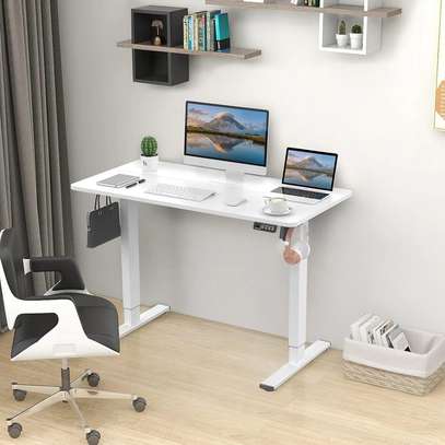 Office Desk: 120cm Height Adjustable Desk, Electric Stylish image 1