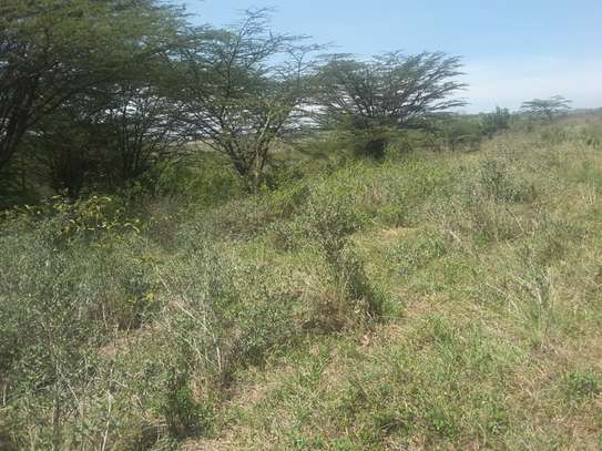 Lovely 4 Acre Land in Kiserian image 8