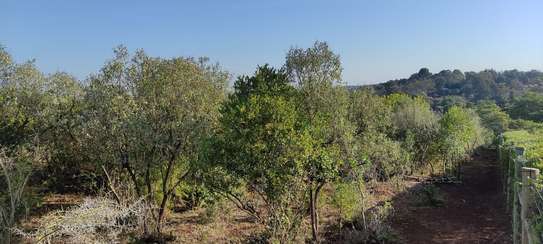 30 ACRES PROPERTY FOR SALE IN NAROMORU WITH A RIVER FRONTAGE image 5