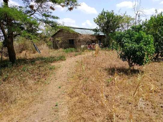 Prime 0.4 Acre land with 2 br house for Sale image 10