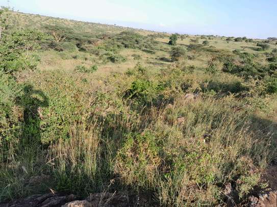 PARK VIEWING LAND image 2