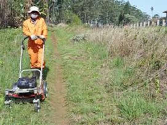 Lawn Mowers Repair and Service In Nairobi image 5