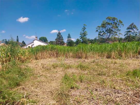 0.5 ac Land in Ridgeways image 5