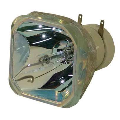 Sony Projector Lamp image 1