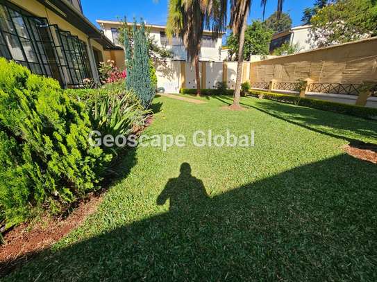 5 Bed House with En Suite in Spring Valley image 1