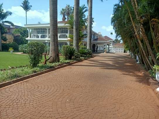 Magnificent 6 Bedrooms Townhouse on 0.8 acres In Lavington image 4