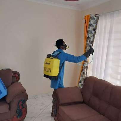 Fumigation and Pest Control Services Limuru image 5