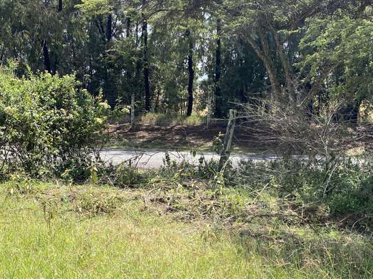 Green park estate ( 1/4 plots in Njoro, Nakuru) image 4