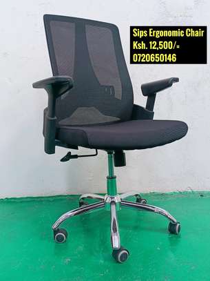 Ergonomic Office Chair image 4