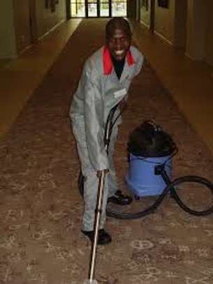 CLEANING SERVICES,FUMIGATION & PEST CONTROL IN JUJA image 10