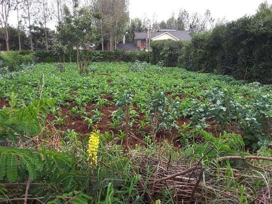 0.25 ac Residential Land in Ngong image 7