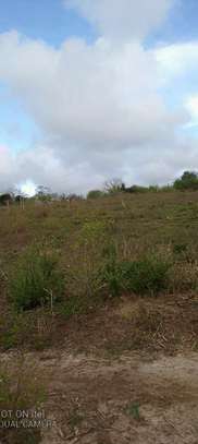 Residential plots in Malindi image 2