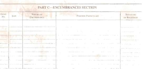 Land for sale Naromoru Nyeri county Mt Kenya slopes side image 3