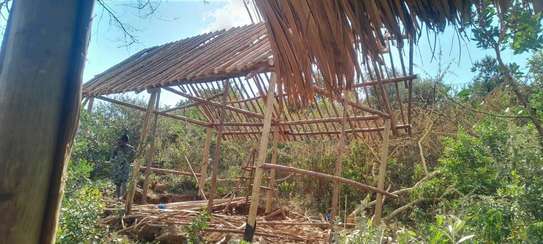 Makuti roofing construction image 4