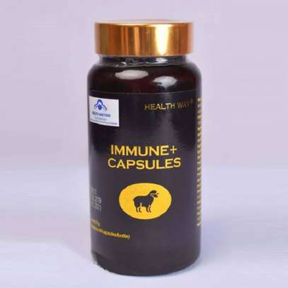 Norland HealthWay Immune Plus Capsules in Kenya image 1