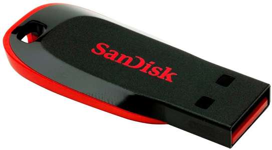 32GB Flash Disk image 2