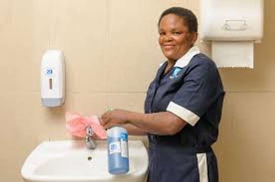 Top 10 Best Cleaning Companies In Embakasi,Utawala,Ruiru image 9