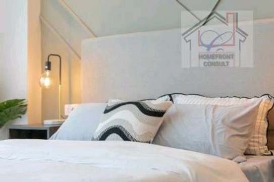 Elegant-Modern 1bedroomed furnished apartment image 11