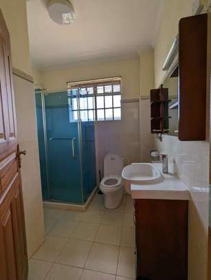 Furnished 2 Bed Apartment with En Suite in Nyari image 14