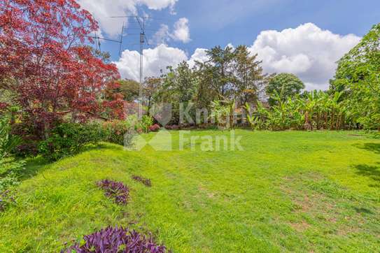 0.5 ac Land in Rosslyn image 19