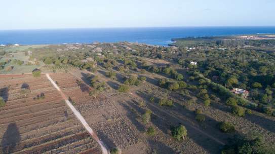 0.5 ac Land at Green Heart Of Kenya image 4