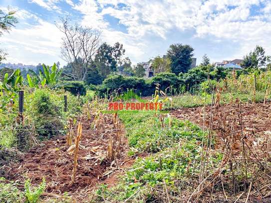 0.05 ha Residential Land at Muthiga image 12