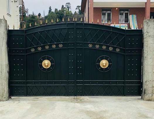 Elegant Black Iron Gate image 1