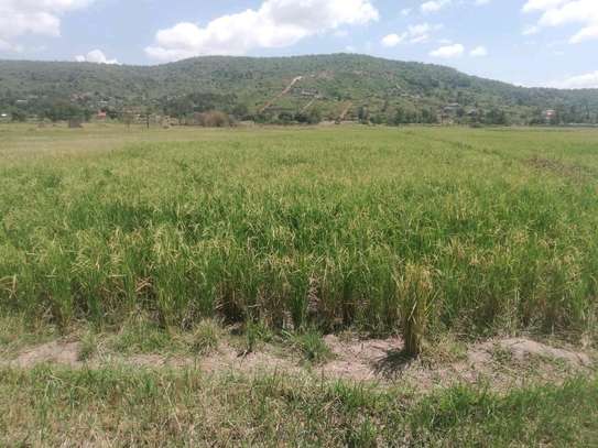 3 ACRES FOR RICE FARMING - MURANG'A image 3