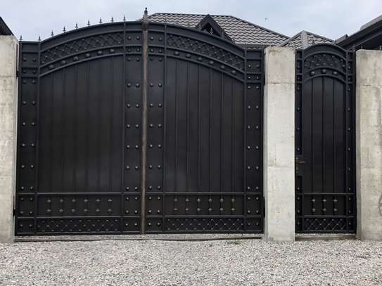 Double Gate with Gold Accents image 3