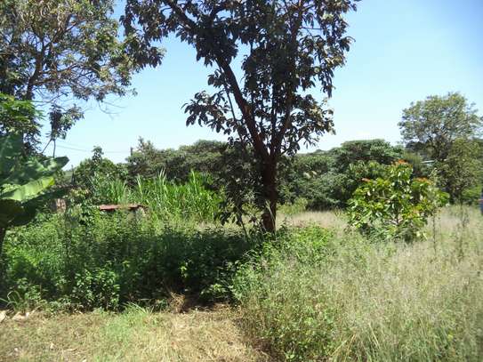 3,200 ft² Land at Ruiru - Kiganjo Road image 3