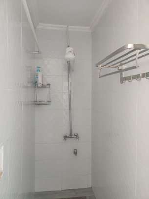 Beautiful 4 BR House plus 2 Guest Wings in Kileleswa image 13