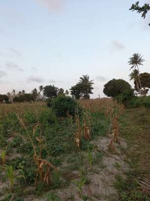12 ac commercial land for sale in Kikambala image 1