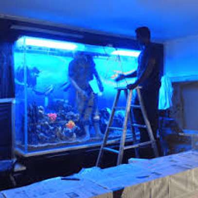 Aquarium Cleaning Services | Fish Tank Maintenance Company image 3