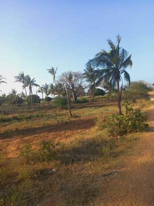 Land at Mavueni Kaloleni Road image 6