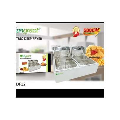 Double Stainless Deep Fryer 12LITRES image 1