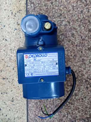 Pedrollo water pump image 3