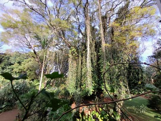 1 ac Land in Lavington image 1