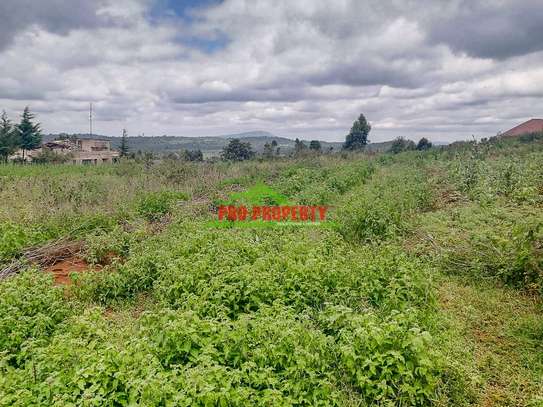 0.125 ac Residential Land at Migumoini image 16