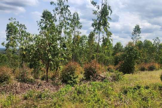 Kiamuringa Prime land for sale image 3
